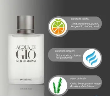 Fragancia Giorgio Armani Acqua Di Gió para Caballero 100 ml